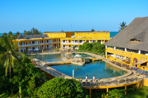 Zanzibar Resort all-inclusive dagupplevelseReef &amp; Beach Resort: Dagskort med all-inclusive och transfer