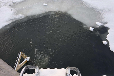 Helsinki: City Highlights, Fortress Island & Floating Sauna