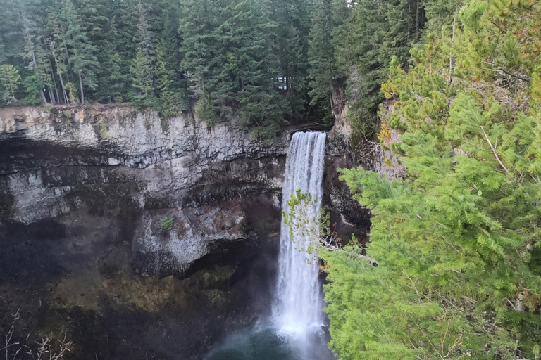 جولة ويسلر، جندول سي تو سكاي، شلال شانون وبحيرة جريناجعل جولتك خاصة