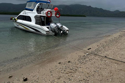 Komodo National Park: Full-Day Boat Tour with Lunch