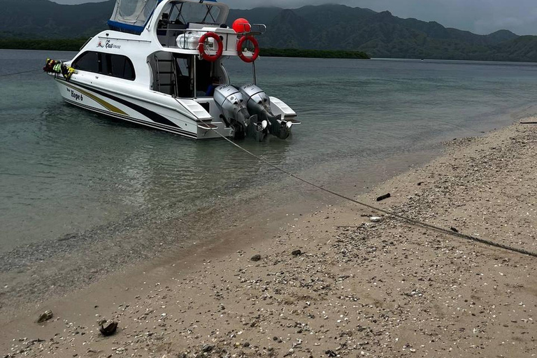 Komodo National Park: Full-Day Boat Tour with Lunch