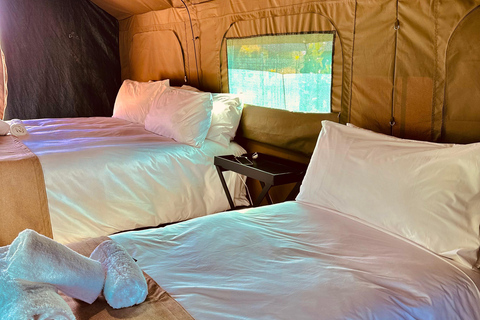 3-tägige Pilanesberg Tlou En-Suite Zelt-Safari3-tägige Pilanesberg Tlou Safari mit Zeltunterkunft und eigenem Bad