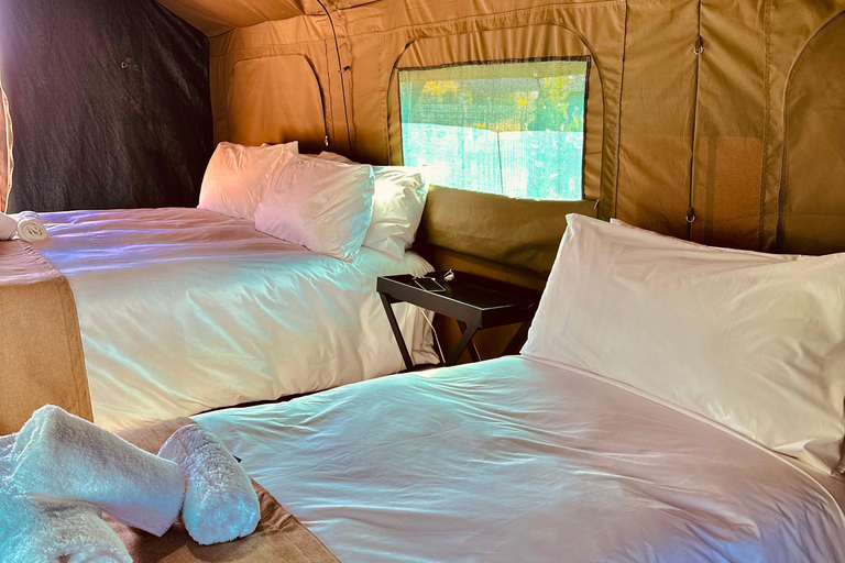 3-tägige Pilanesberg Tlou En-Suite Zelt-Safari3-tägige Pilanesberg Tlou Safari mit Zeltunterkunft und eigenem Bad