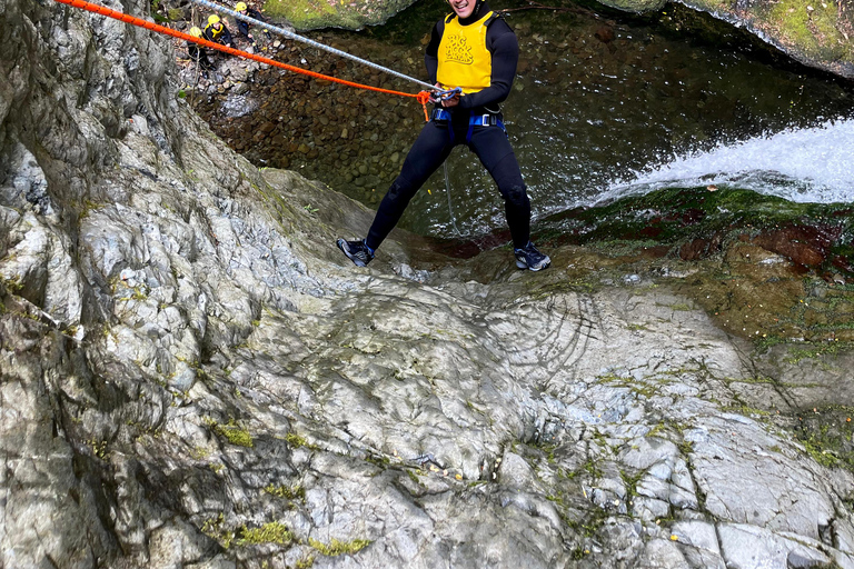 Christchurch: Tui Canyon Half-Day Canyoning Adventure