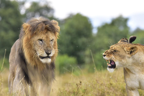 Day Tour To Ol Pejeta Conservancy From Nairobi