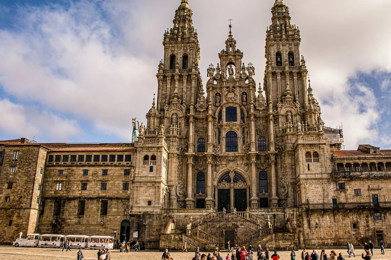 Visita a la Catedral y al Museo