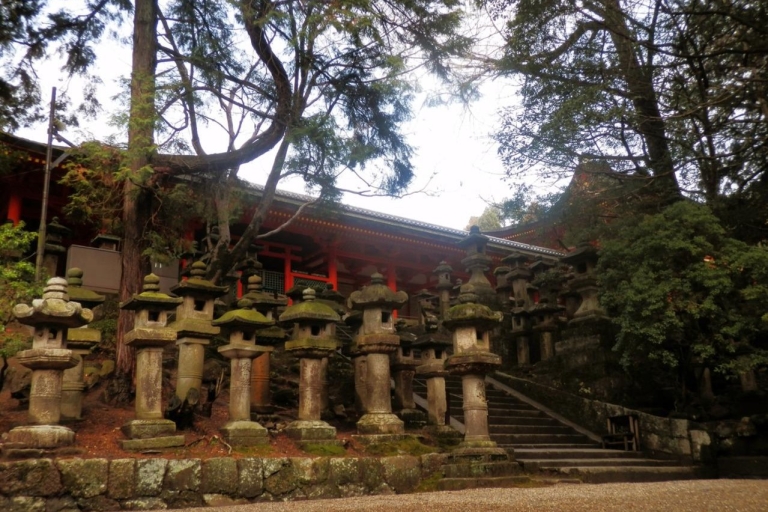 Les merveilles historiques de Nara : Un voyage à travers le temps et la nature