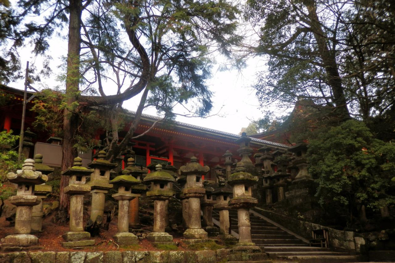 Nara’s Historical Wonders: A Journey Through Time and Nature