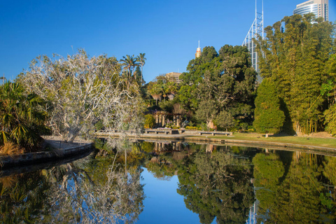 Sydney: Bondi Beach, Ópera y Visita Privada a la Ciudad de Sídney