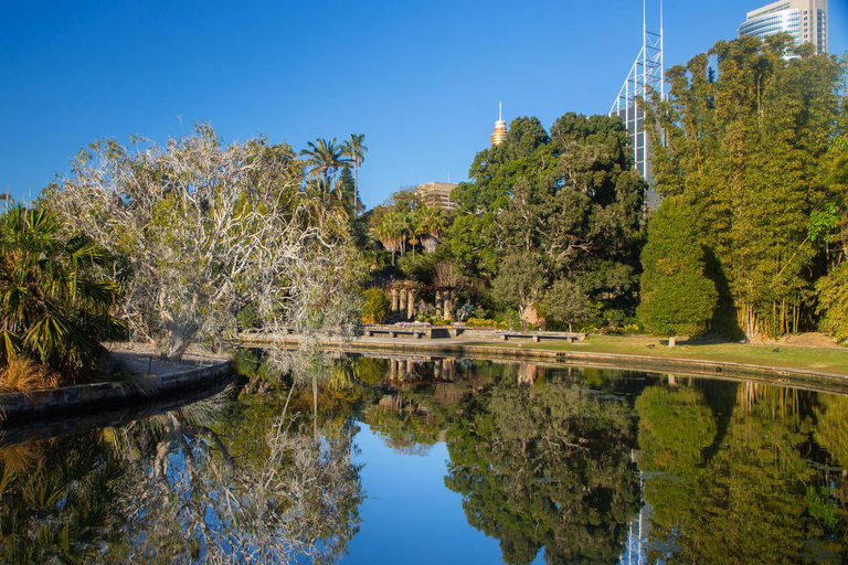Sydney: Bondi Beach, Ópera y Visita Privada a la Ciudad de Sídney