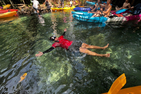 Kayak en Klong Rud con traslado al hotel