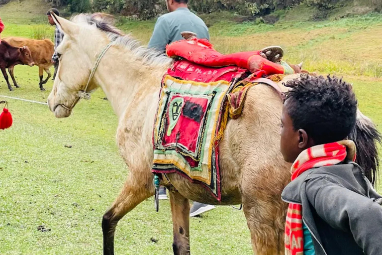 Wonchi Crater Lake: 2-Day Wellness Retreat