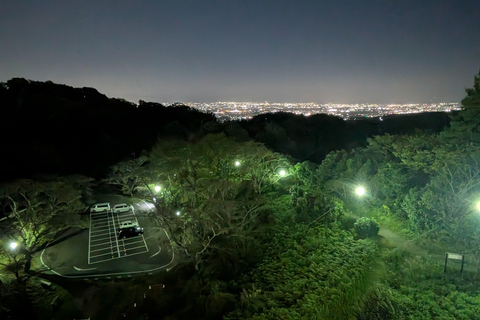 Osaka : visite nocturne du mont Ikoma avec la ligne d'horizon