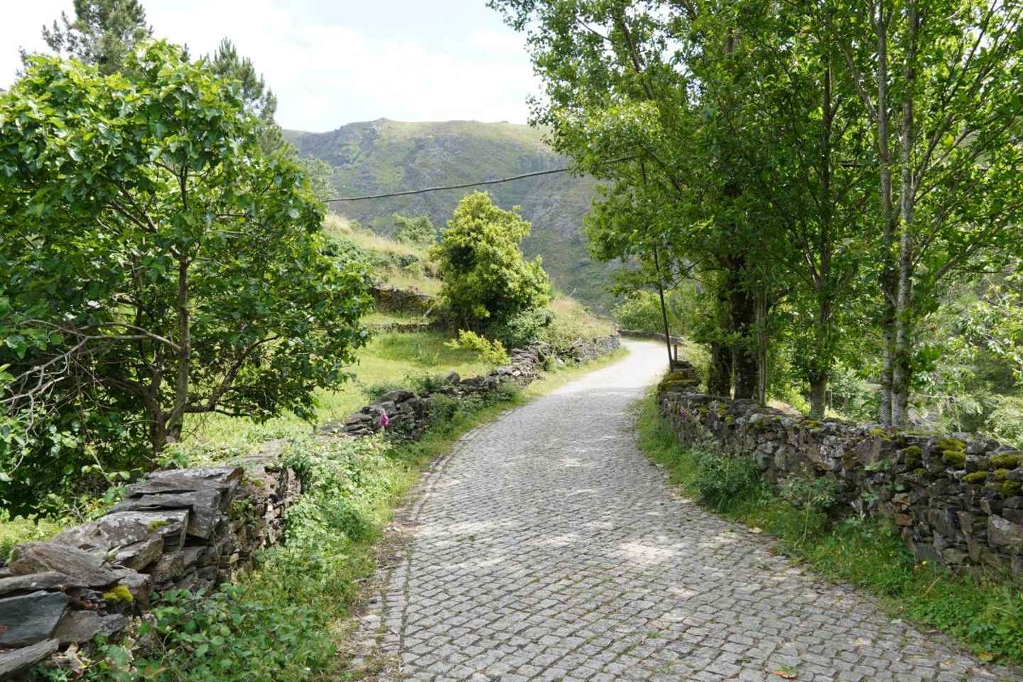 ALVÃO SHEPHERD'S HIKE