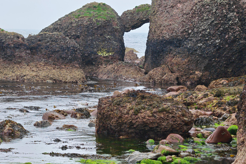 Giant's Causeway & Game of Thrones Private Tour