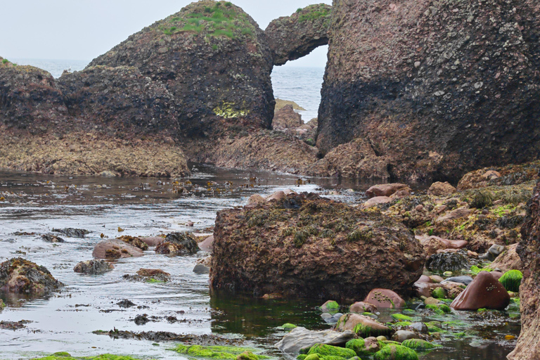 Giant's Causeway & Game of Thrones Private Tour
