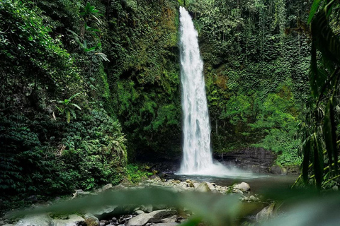 Bali : Visite d&#039;une jounée à la cascade de Nungnung, Tanah Lot TampleVisite privée d&#039;une jounée SANS billet d&#039;entrée