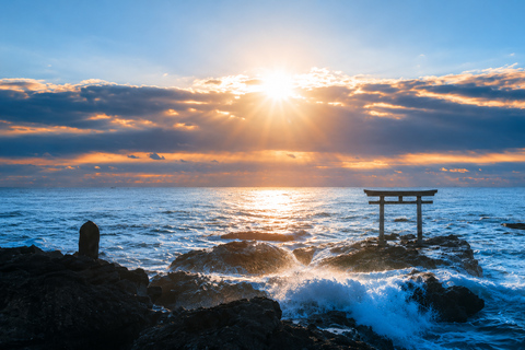 Tokyo: Hitachi Seaside Park, Oarai Shrine & Seafood Day Trip