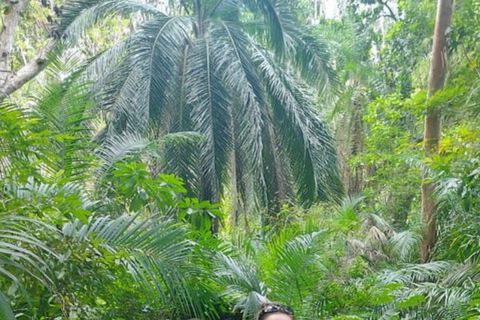 ZANZIBAR: Tur i Jozani-skogen med en proffsguidePRIVAT TUR INKLUDERAR TRANSFER