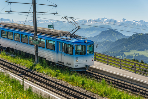 Vitznau: Train Tickets and Rigi Mineral Baths Day Ticket