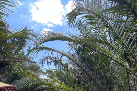 Can Tho: Floating Market, Canal, Cacao Farm & Mekong' Life Private tour with English speaking guide