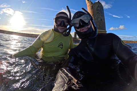 From Adelaide: Swim with the Giant Cuttlefish 3 day tour Twin Share room per person