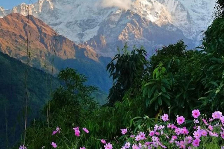 Expedición al Pico Medio del Annapurna - 41 Días