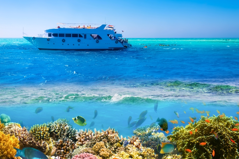 Sharm El Sheikh: Rejs luksusową łodzią z nurkowaniem i lunchem