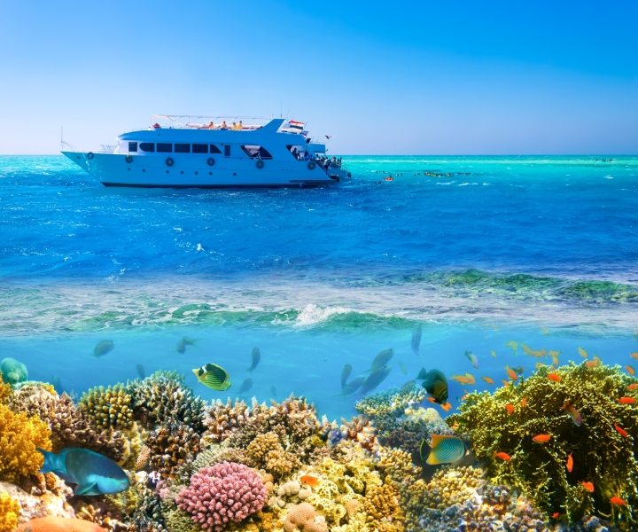 Sharm El Sheikh: Luxury Boat Cruise with Snorkeling & Lunch