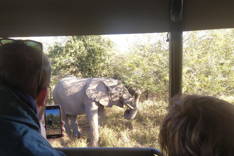 Mid-High end 5 Day all-inclusive Kruger &amp; Pano Tour from JHB