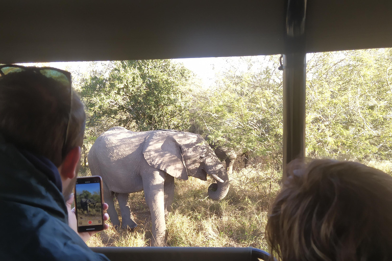 Mid-High end 5 Day all-inclusive Kruger & Pano Tour from JHB