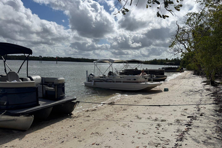 Naples: Keewaydin Island Shelling Adventure