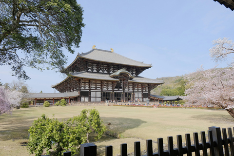 Nara: Deer Park, Todaiji Temple, & Great Buddha Walking Tour Private Tour