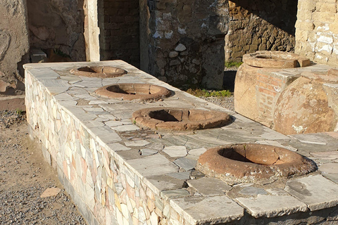 Pompeii: Private Guided Tour with Herculaneum – 3 Options Pompeii Herculaneum & Naples