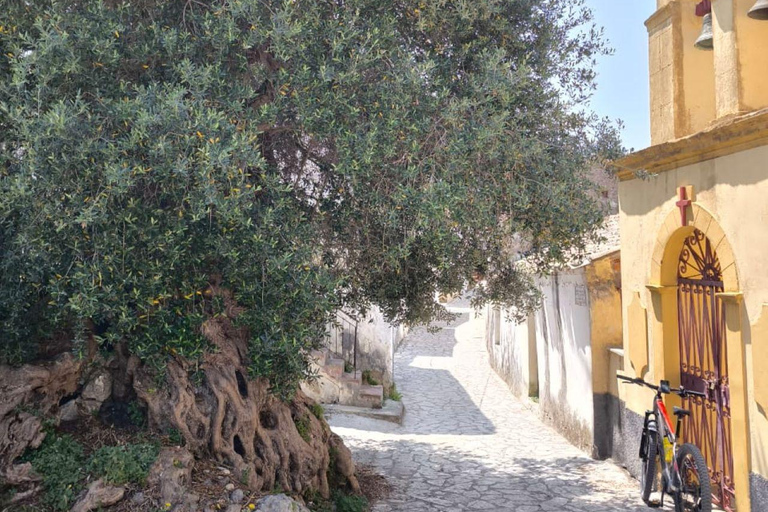 Corfu: E-Bike Tour with Wine Tasting and Winery Visit