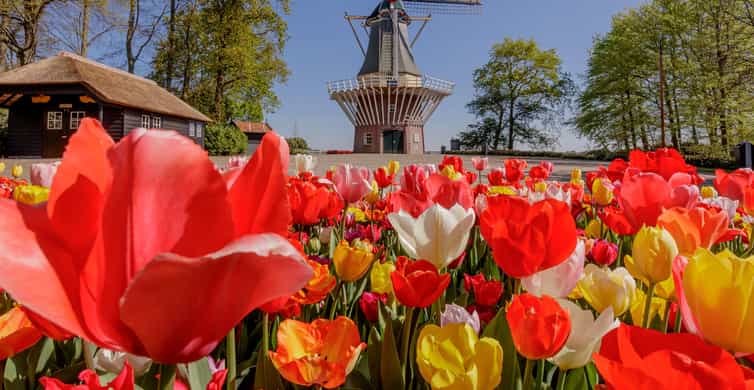 Amsterdam: Keukenhof Entry & Shuttlebus with Flexible Return photo 7