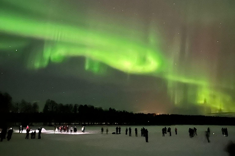 Rovaniemi: Northern Lights Hunters. Aurora + BBQ