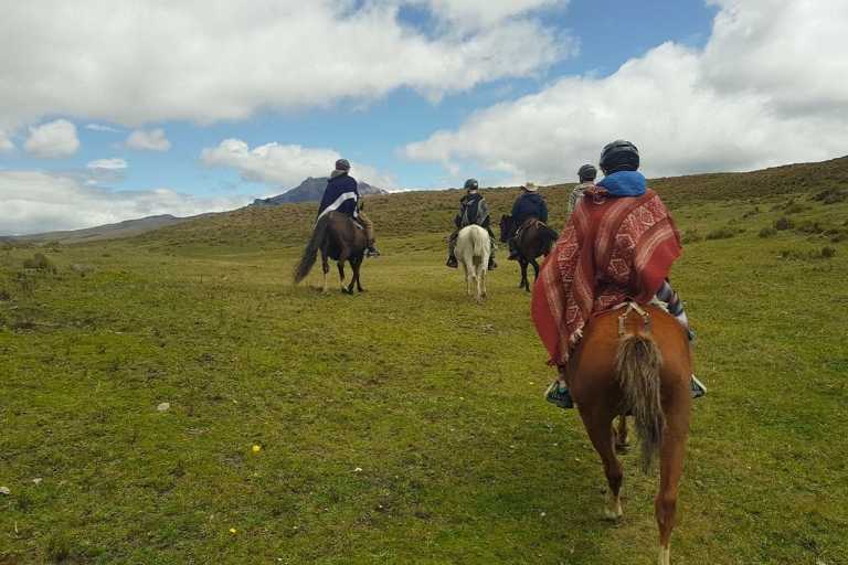 Tout compris : Randonnée à cheval au Cotopaxi3 ou 4 heures d'équitation
