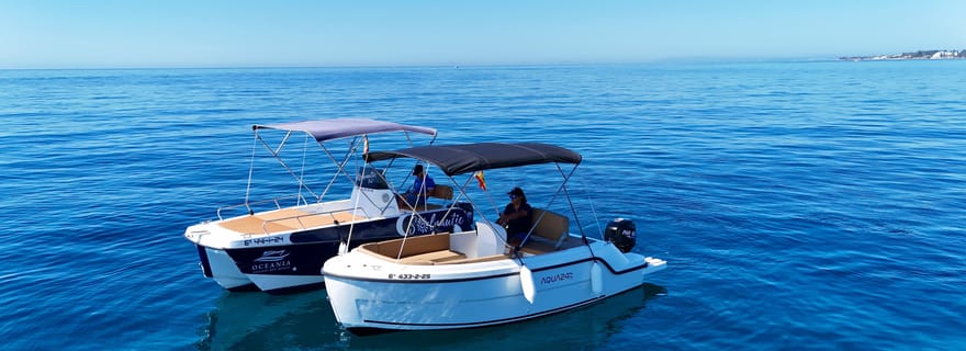 Benalmádena : location de bateaux sans permis pour observer les dauphins
