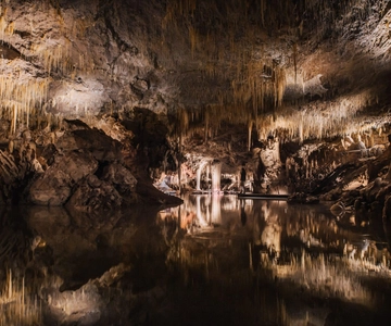Visita guiada a la Cueva del Lago