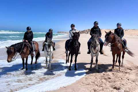 Dakhla Horse Riding Tour in the Desert