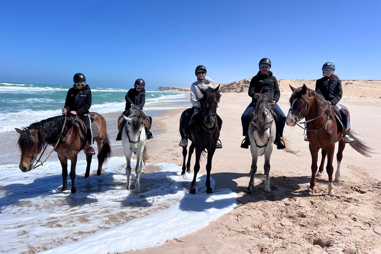 Dakhla Horse Riding Tour in the Desert
