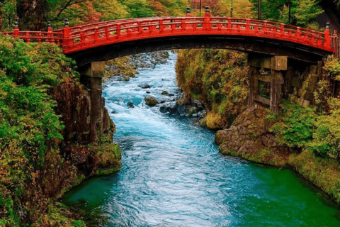 From Tokyo: Nikko Private Tour with Toshogu Shrine & Falls