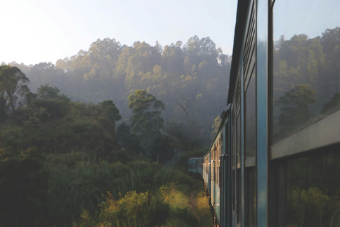 康提至努沃勒埃利耶观光列车电子票（含指定座位）康提至纳努瓦亚观光列车二等或三等车厢电子票