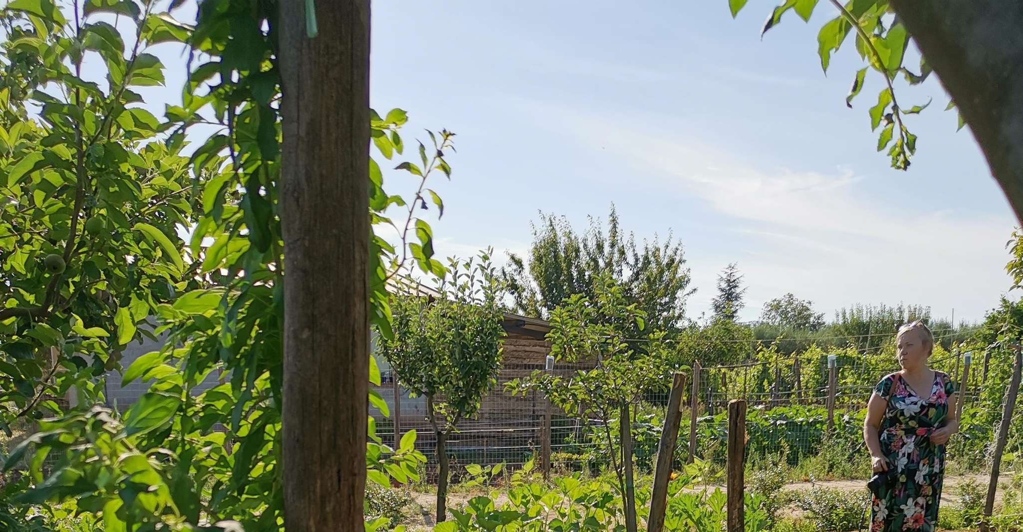 Radici e vino - La tradizione del vino - Housity