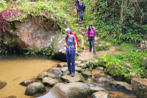 JUATINGA: 4-tägige Tour ATLANTISCHER WALD und STRÄNDE - PARATY - RIO DE JANEIRO