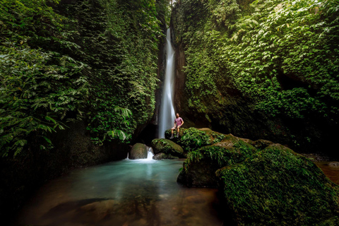 Bali: Floating Temple, Jatiluwih & Hidden Waterfall Private- All Inclusive
