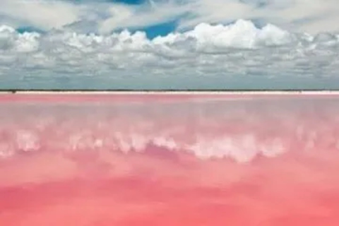 Las Coloradas + Rio Lagartos Tour particularGrupo de 5 pessoas