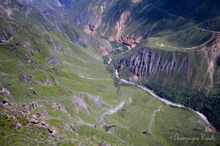 Arequipa: 3-Day Colca Canyon Trekking Tour