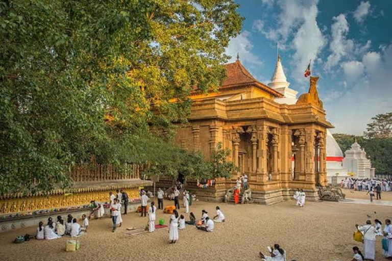 Colombo: Guided City Highlights Tour with Airport Drop-Off